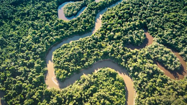 Le territoire du Xingu 